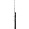 Удилище SHIMANO BEASTMASTER CATFISH LURE 240