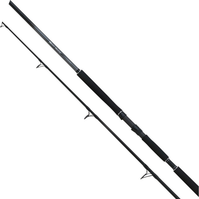 Удилище SHIMANO BEASTMASTER CATFISH LURE 240